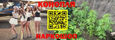 шишки Апрелевка