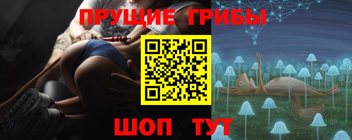 купить   Вход с VPN  Сосновый Бор  Галлюциногенные грибы мицелий 